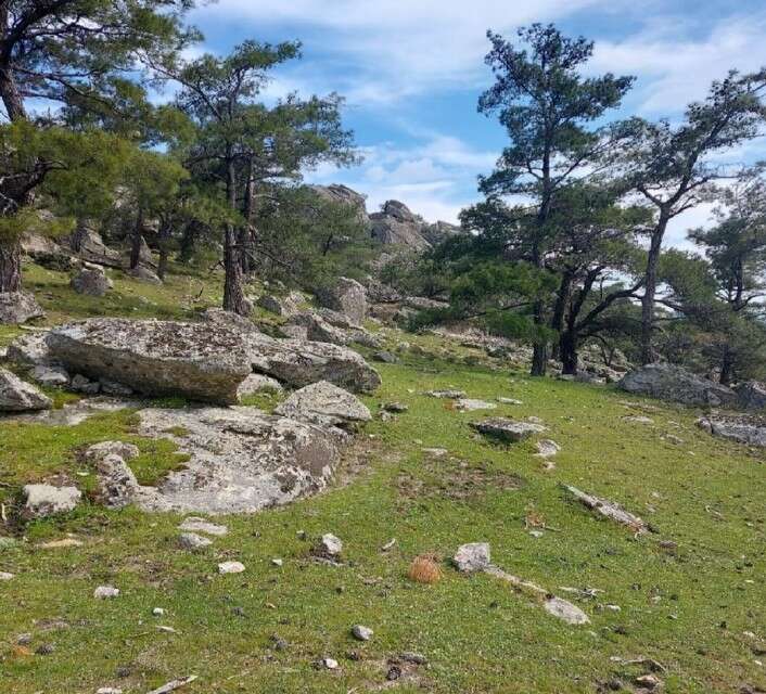 189 Milyon TL’lik Dev Yatırım: 75,6 MW Kapasiteli Falp RES Projesine ÇED Olumlu Kararı 3